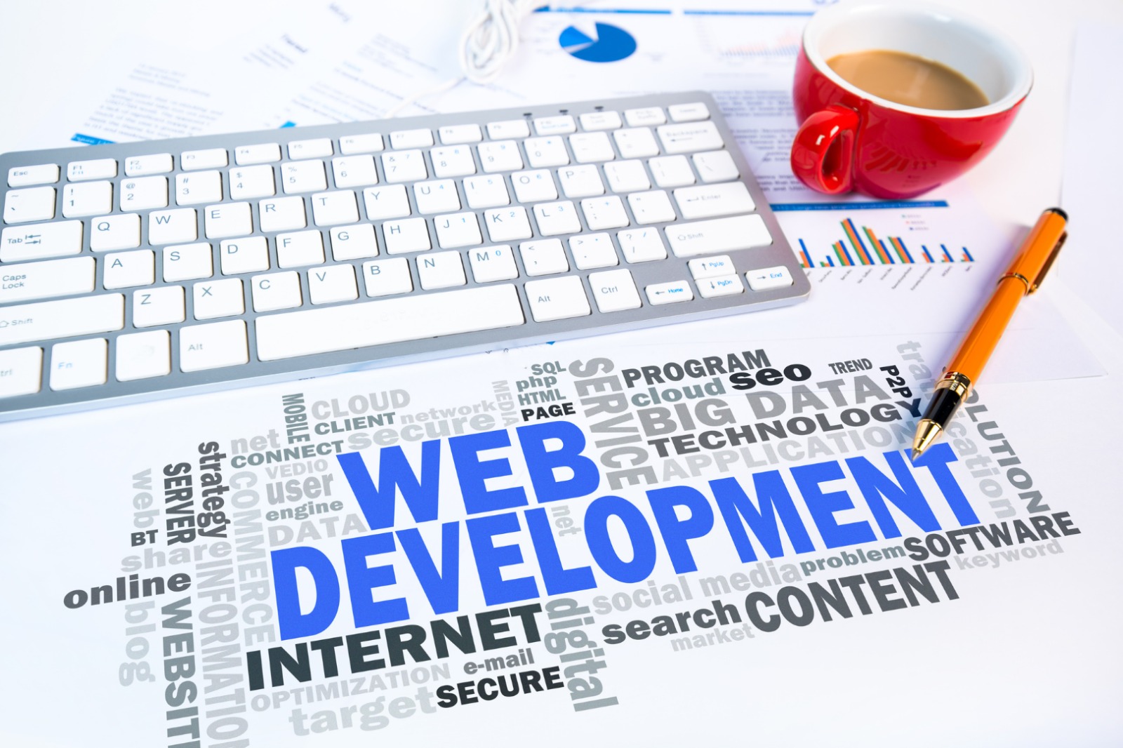 Web development